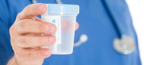 Drug testing for employees using 10-panel drug testing services.