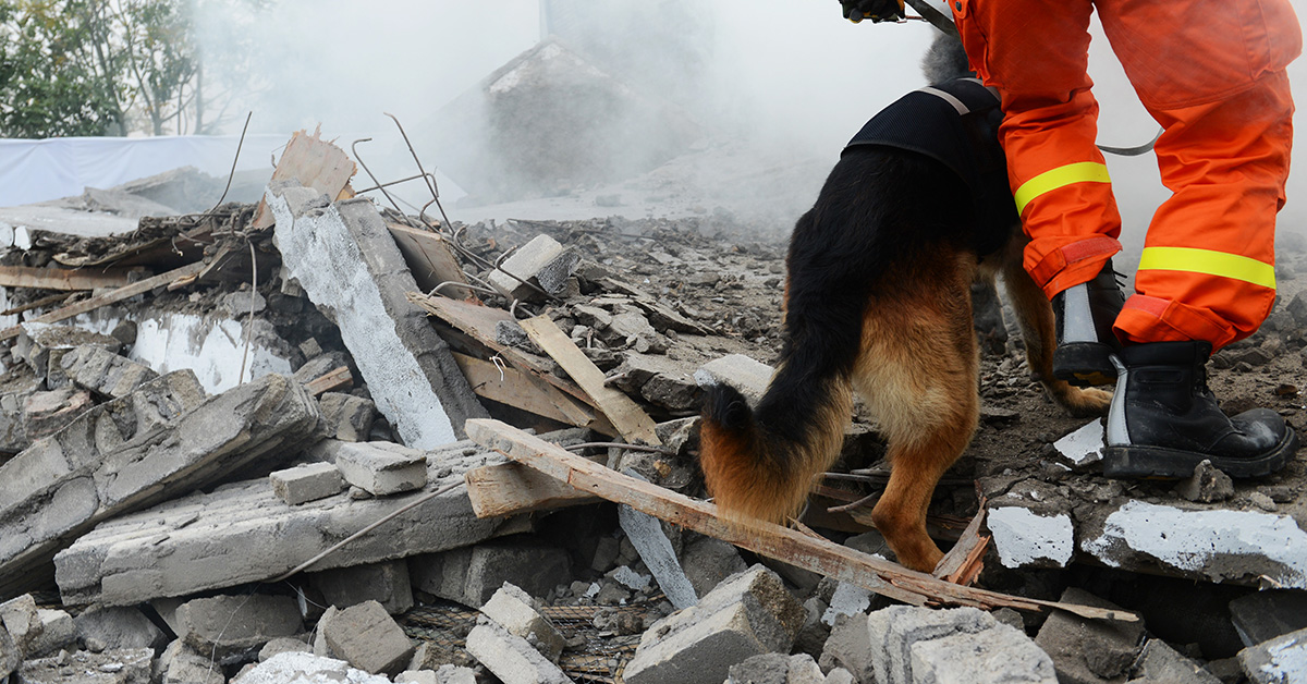 Diaster Injuries Telemedicine for disaster relief work injuries - Concentra
